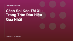 Read more about the article Cách Soi Kèo Tài Xỉu Trong Trận Đấu Hiệu Quả Nhất